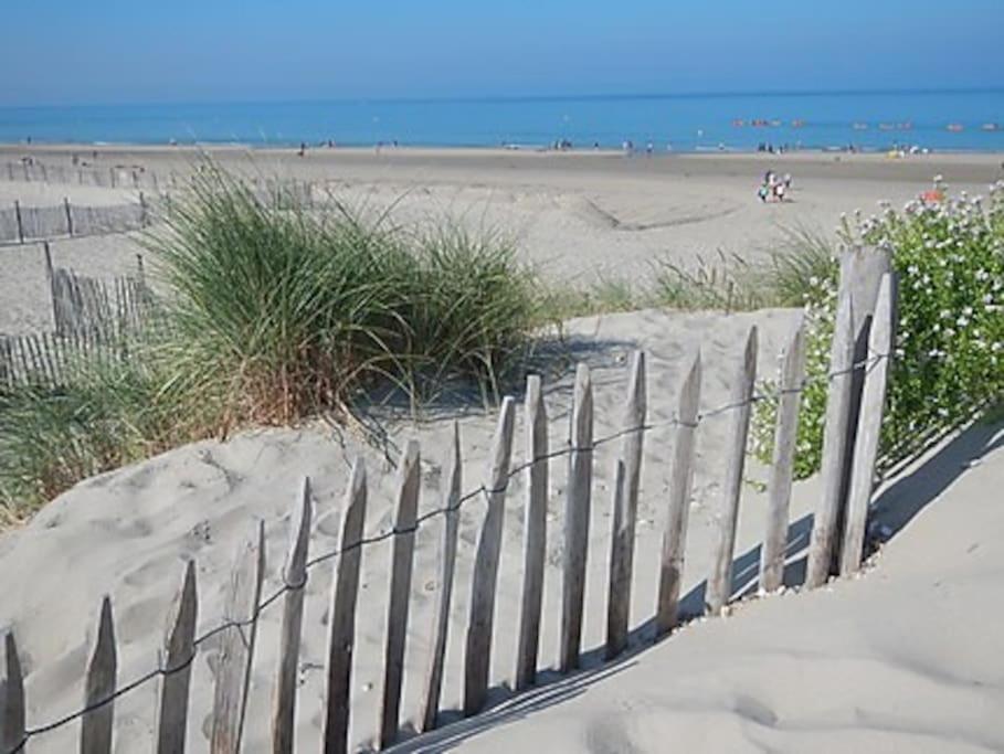 Logement A Deux Pas De La Plage Et Des Commerces Le Tréport Eksteriør billede